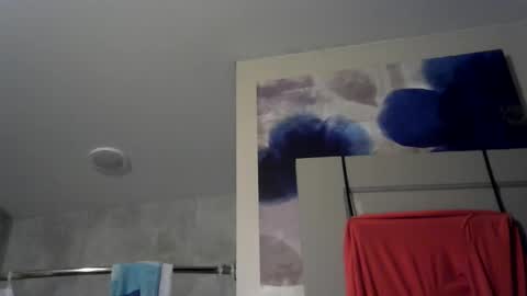 Snapshot of tsrightnow chatting on December 2024 08:58:02 PM Steffany VonRoe online show from December 2024 08:58:02 PM