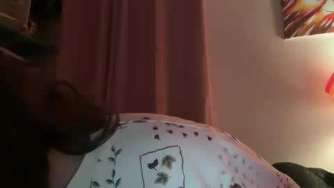 Snapshot of tulipisnotaperson chatting on February 2026 04:00:02 AM Tulip online show from February 2026 04:00:02 AM