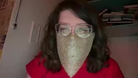 Snapshot of tulipisnotaperson chatting on February 2026 05:49:02 AM Tulip online show from February 2026 05:49:02 AM