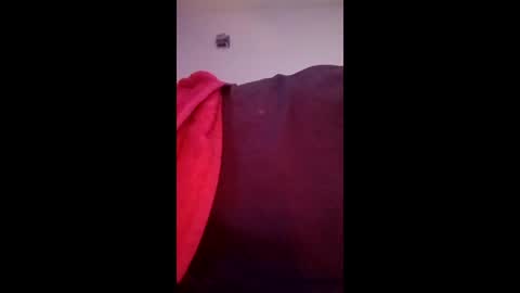 twe4kseeker online show from May 2026 10:33:01 AM