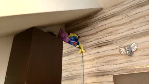 twinslovers_ online show from January 2026 03:32:01 AM