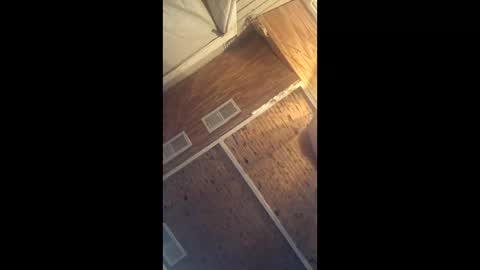 twistercouple3371 online show from March 2026 04:06:02 AM