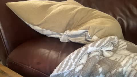 Snapshot of ty23333 chatting on February 2025 10:37:02 AM ty223222 online show from February 2025 10:37:02 AM