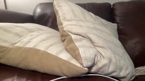 Snapshot of ty23333 chatting on March 2025 07:36:01 AM ty223222 online show from March 2025 07:36:01 AM