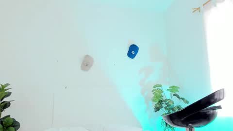 Snapshot of tyler_jonnes chatting on February 2025 06:20:01 PM Tyler online show from February 2025 06:20:01 PM