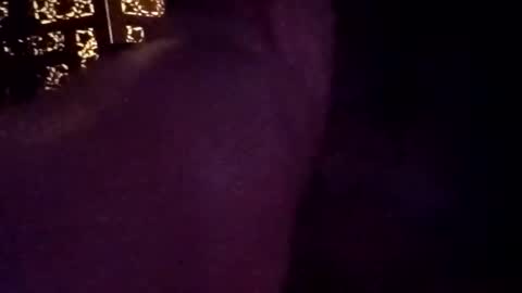 tylerdowell10111 online show from April 2026 11:50:02 AM