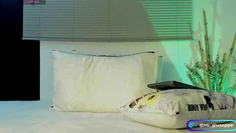 Snapshot of tylergiuseppe_ chatting on December 2024 05:15:01 PM tylergiuseppe_ online show from December 2024 05:15:01 PM