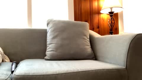 Tyler Sands online show from February 2025 03:14:02 PM