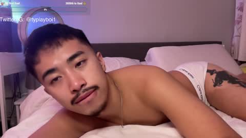 Snapshot of typlayboi chatting on December 2024 04:46:02 PM Ty Vers LDN online show from December 2024 04:46:02 PM