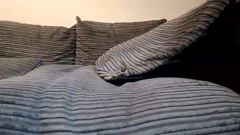 Snapshot of tyson2512 chatting on February 2026 03:19:02 PM tyson2512 online show from February 2026 03:19:02 PM