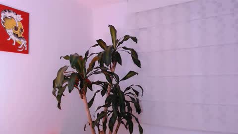 Martina online show from October 2025 01:49:02 AM