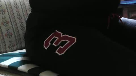 patricia online show from October 2025 02:59:02 PM