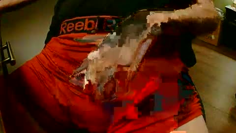 . online show from January 2026 06:49:02 AM