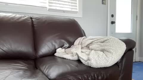 Snapshot of ungerisland chatting on March 2025 07:26:02 PM ungerisland online show from March 2025 07:26:02 PM