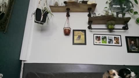 Snapshot of urdreamswonder chatting on February 2026 03:43:01 AM MYMY online show from February 2026 03:43:01 AM