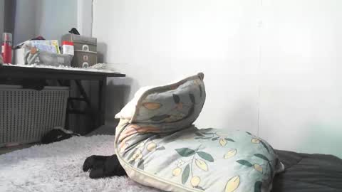 Rbabes online show from February 2026 09:03:02 AM