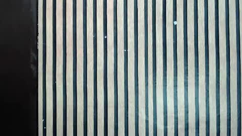 Jane online show from February 2025 11:57:02 AM