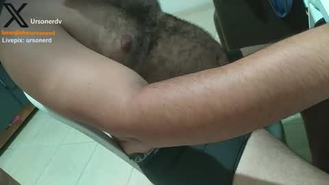 Snapshot of urso_nerd chatting on February 2026 04:21:02 PM urso_nerd online show from February 2026 04:21:02 PM