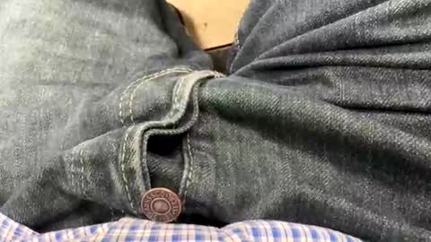 usabound online show from December 2025 11:26:02 AM