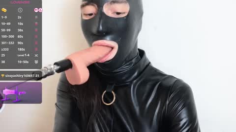 usedexcuse online show from November 2025 02:09:01 PM