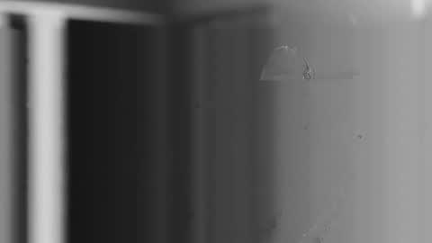 Snapshot of user2f chatting on December 2025 10:57:01 AM steve online show from December 2025 10:57:01 AM