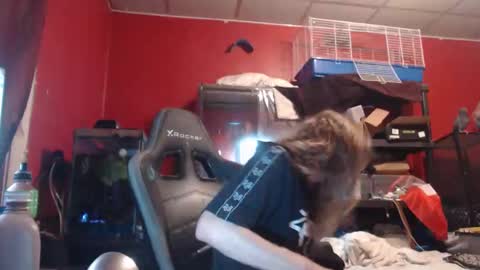 ustogetherliveee online show from November 2025 06:03:01 AM