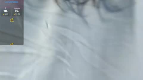 v1cky_ online show from December 2024 09:52:01 PM