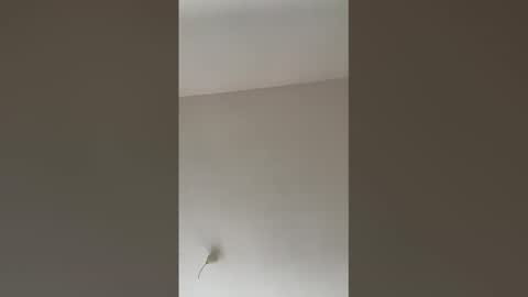 Snapshot of valerianleclercq2025 chatting on February 2026 04:07:02 PM valerianleclercq2025 online show from February 2026 04:07:02 PM