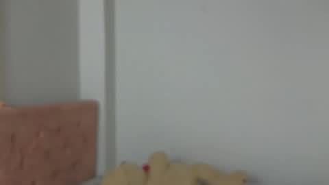 valery_lovex_ online show from October 2025 02:10:01 AM