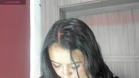 Snapshot of valerymeyerr chatting on April 2026 11:47:02 AM valerymeyerr online show from April 2026 11:47:02 AM