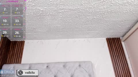 valkilu11 online show from January 2025 12:06:01 AM