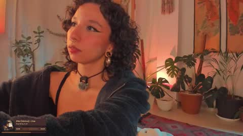      online show from February 2026 11:34:02 PM