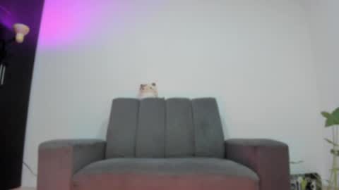 Babi Alu online show from May 2026 09:48:01 AM