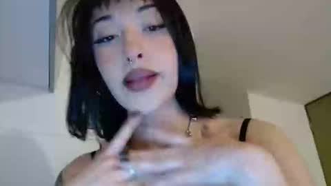 Vans online show from February 2026 06:07:01 AM