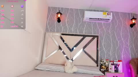    online show from January 2025 06:35:01 PM