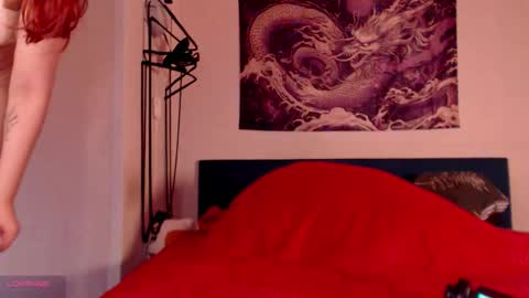 Vanessa follow me -  I will answer you there at any time online show from November 2025 06:16:02 AM