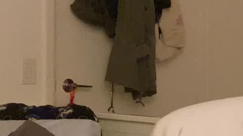 Vanessa  online show from December 2024 10:33:02 AM