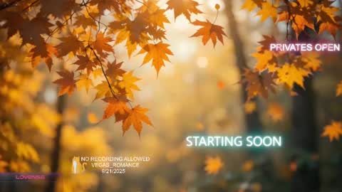 vegas_romance online show from September 2025 11:50:01 PM