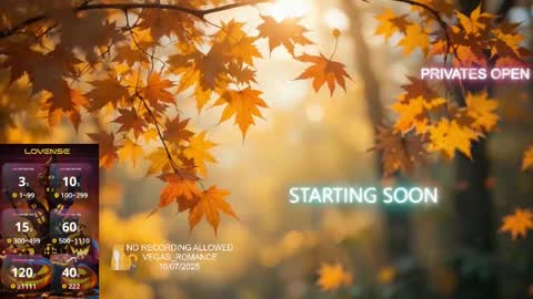 vegas_romance online show from October 2025 01:36:02 AM