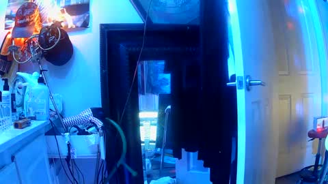 vegasmd online show from March 2025 10:59:02 AM