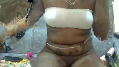 velvet online show from February 2025 11:09:02 AM