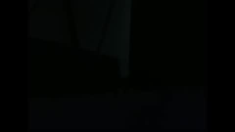 Snapshot of vendi1 chatting on December 2024 09:52:02 AM vendi1 online show from December 2024 09:52:02 AM