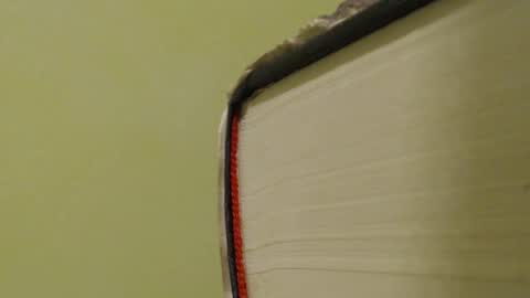 Snapshot of vendi1 chatting on January 2025 08:26:02 PM vendi1 online show from January 2025 08:26:02 PM