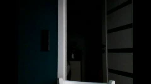 Snapshot of vendi1 chatting on November 2025 05:03:01 PM vendi1 online show from November 2025 05:03:01 PM