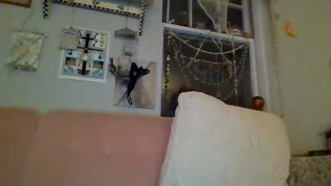 Snapshot of venuskisth chatting on January 2025 08:13:02 AM venuskisth online show from January 2025 08:13:02 AM