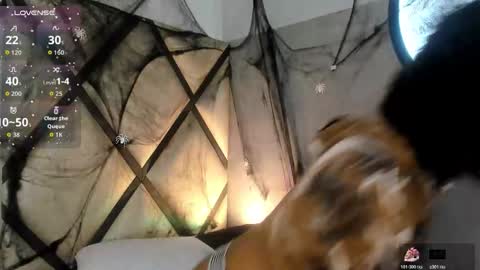 Snapshot of venuss_03 chatting on November 2025 03:31:01 AM venuss_03 online show from November 2025 03:31:01 AM