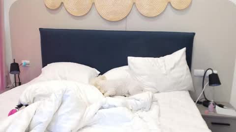 Snapshot of veola_new chatting on December 2025 03:23:01 AM Violetta online show from December 2025 03:23:01 AM