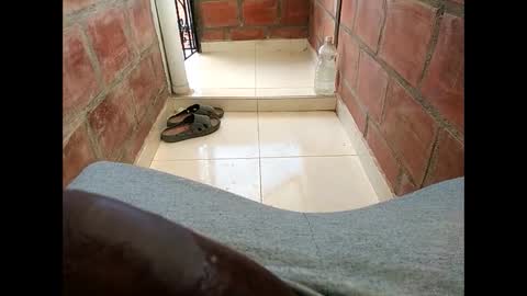 ver_gonblack online show from February 2025 06:19:02 PM