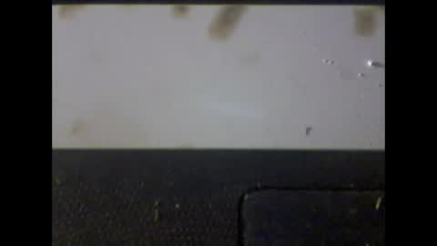 Im DanielVerdo  25 years old Lets have Fun and just ask what wanne know   tnew anal bigock cum  slave  fullnaked online show from March 2025 06:35:02 AM