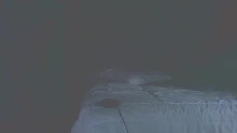 Snapshot of vergagolosa22 chatting on November 2025 07:02:02 PM vergagolosa22 online show from November 2025 07:02:02 PM